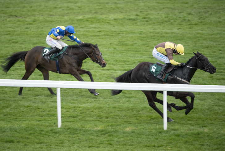 Cheltenham Festival Focus: Punish the handicapper with 3pt hit on Dan!